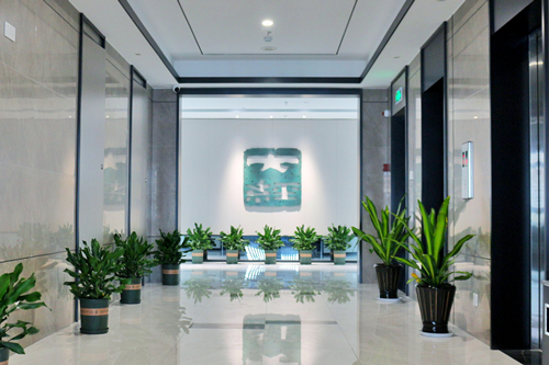 1604992575785558.jpg 1604992575785558.jpg