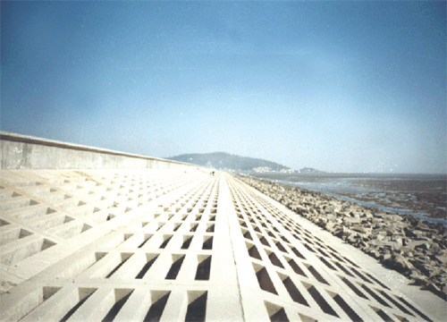 臺州發電廠六號灰庫灰壩工程